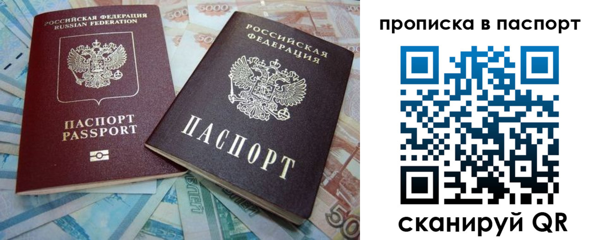прописка поиск в Ленинградской области